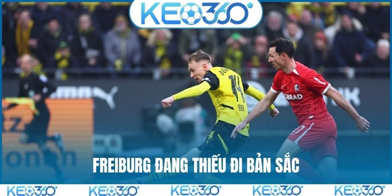 Freiburg đang thiếu đi bản sắc